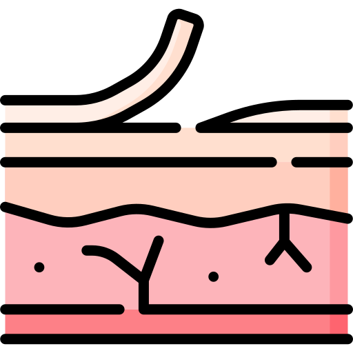 logo piel y partes blandas